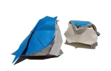 co się dzieje jak origami zacznie tworzyć biolog