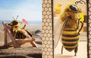 Pszczoła została influencerką – wspiera swoją społeczność przychodami z reklam
