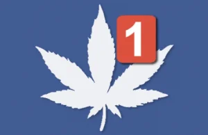 Informaja o Facebook Drug Task Force okazała się nieprawdziwa -...