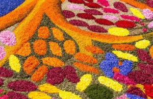 Infiorata Genazzano. Festiwal kwiatów w Lacjum z rekordem Guinessa