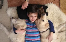 Canisterapia - jak psy pomagają chorym dzieciom