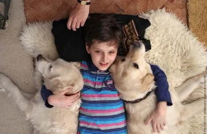 Canisterapia - jak psy pomagają chorym dzieciom