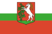 Flaga Lublina - jedna z brzydszych flag jakie widzieliście ( ͡° ͜ʖ ͡°)