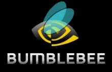 Bumblebee - Bug, który kasował folder użytkownika