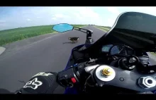 Yamaha R1 jazda po autostradzie, troszkę koła, zabłąkane psy, test po...