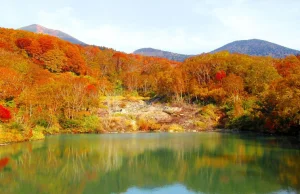 Jesień w Japonii jest po prostu piękna! Czym różni się od tej polskiej?