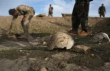 Znaleźli masowy grób. 3 tys. ofiar meksykańskich karteli narkotykowych