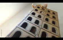 Jak zrobić 5-piętrowy budynek dla kotów