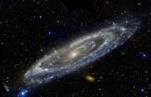 Galaktyka Andromedy pełna czarnych dziur