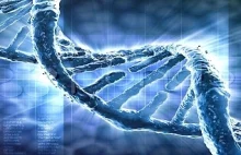 91,8 % ludzkiego DNA jest bezwartościowe.