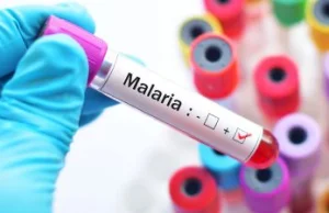 Pośpiech w walce z malarią. Program szczepień objął kolejny kraj