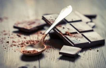 Przyszłość czekolady zagrożona