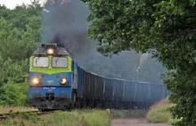 PKP Cargo brakuje wagonów, a w krzakach stoi ich 30000.