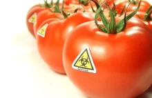 Posłowie koalicji PO-PSL zalegalizowali obrót GMO w Polsce