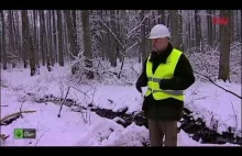 Pozyskanie drewna z lasu - Nadleśnictwo Bartoszyce