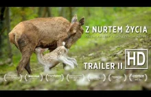 Z Nurtem Życia - Official Trailer #2 Genialny zwiastun filmu przyrodniczego !