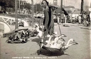 Chiny w 1921 roku na zdjęciach