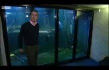 Prawdopodobnie największe domowe akwarium na świecie.