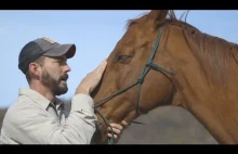 Konie, które pomagają w terapii weteranów wojennych [ENG]