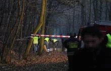 Katowice: W parku znaleziono zwłoki kobiety z podciętym gardłem. Apel policji