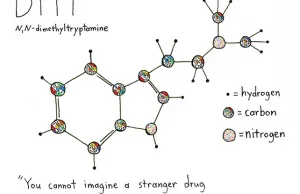 Odmienne stany świadomości z DMT - szczegółowy trip-raport