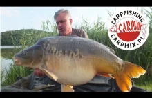 Hol karpia 30 kg Team Carpmix.pl | Carp Fishing Hungary | Carp above 66...