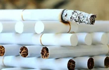 Dlaczego palenie stało się bardziej zabójcze i uzależniające niż 50 lat temu.