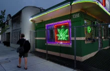 USA: Legalna marihuana zmniejszyła przestępczość w Denver [ENG]