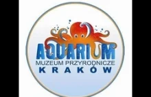 Z chciwości chcą zamknąć krakowskie akwarium