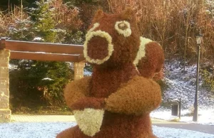 Wiewiórka Iwonka przygotowana na zimę :)