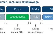 Opłaciłeś składkę na nowe konto przysłane z ZUS?Mogli cię oszukać, ale spokojnie