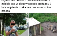 Zabił psa teraz czeka na proces na wolności