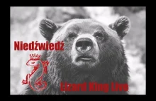 Niedźwiedź - Lizard King LIVE