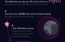 Mózg - 15 ciekawostek na jego temat