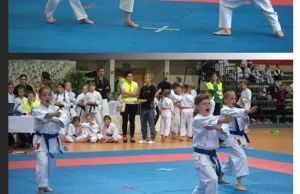 Puchar Świata Dzieci w Karate Tradycyjnym - Genewa 2014