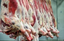 Polska wołowina z salmonellą. Czechy wprowadzają specjalne kontrole