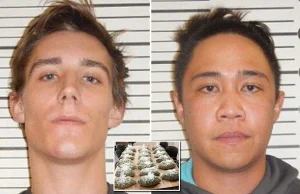 Dwóch paranoicznych przemytników marihuany zadzwoniło na policję, aby się poddać