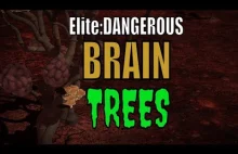 Elite: Dangerous Braintrees