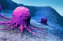 "Pięta achillesowa" komórek nowotworu jelita grubego zidentyfikowana