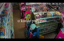 Sebek na zakupach w najmniejszym mieście w Polsce