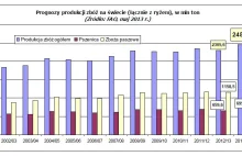 FAO zapowiada rekordy w produkcji zbóż!