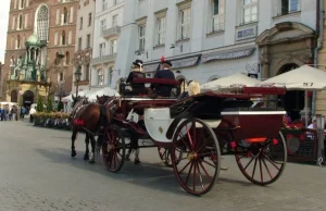 Chcą zakazu ciągnięcia dorożek przez konie, zostaja nam fiakrzy w Krakowie