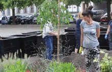 "Doszliśmy do 'apogeum' wykorzystania komunikacji indywidualnej”- Szczecin