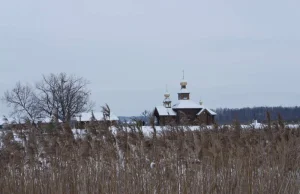 Hajnówka: Tajemnicza śmierć tysięcy pszczół w skicie Odrynki