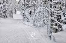 Finlandia. Na biegówkach w 30-stopniowym mrozie