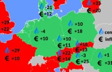 Ceny gazu: Polska to europejski „średniak”