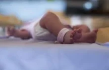 Świdnica - Martwy noworodek znaleziony na wysypisku śmieci