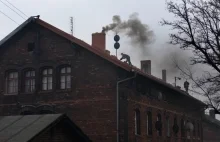 Gdy sąsiad pali śmieciami- dzwoń na policję! On Cię truje!