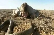 Steve Irwin i najjadowitszy wąż świata - tajpan pustynny z bardzo, bardzo bliska