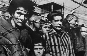 6 lat więzienia za negowanie Holocaustu